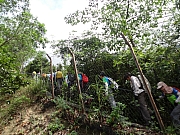 P5290011.JPG (443871 bytes)