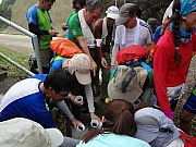 P5290056.JPG (271432 bytes)