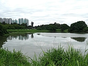 P6050023.JPG (279376 bytes)