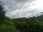 P6120031.JPG (259753 bytes)