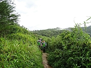 P6120032.JPG (437704 bytes)