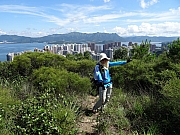 P6190020.JPG (531810 bytes)