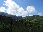 P6190044.JPG (251097 bytes)
