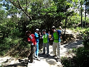 P6260015.JPG (707858 bytes)