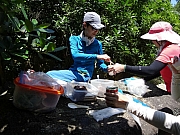 P6260042.JPG (417452 bytes)