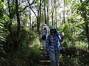 P7170044.JPG (660921 bytes)
