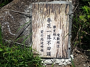 P7170055.JPG (559117 bytes)