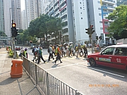 pic_Wai_016.jpg (335313 bytes)