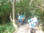 pic_Wai_019.jpg (479134 bytes)
