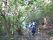 pic_Wai_020.jpg (532530 bytes)