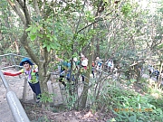 pic_Wai_021.jpg (525297 bytes)
