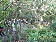 pic_Wai_022.jpg (560901 bytes)