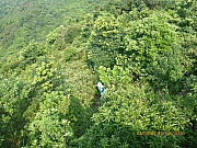 pic_Wai_029.jpg (628568 bytes)