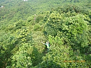 pic_Wai_030.jpg (614193 bytes)