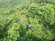 pic_Wai_031.jpg (638867 bytes)