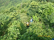 pic_Wai_032.jpg (637010 bytes)