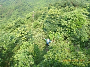 pic_Wai_033.jpg (622459 bytes)