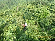 pic_Wai_034.jpg (635768 bytes)
