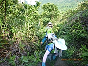pic_Wai_054.jpg (555969 bytes)