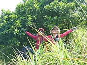 pic_Wai_056.jpg (476512 bytes)