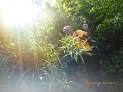 pic_Wai_058.jpg (269907 bytes)