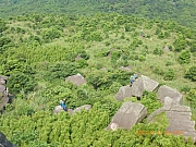 pic_Wai_074.jpg (474949 bytes)