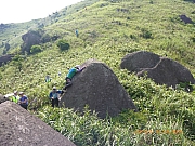 pic_Wai_076.jpg (520818 bytes)