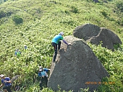 pic_Wai_077.jpg (545542 bytes)