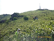 pic_Wai_086.jpg (410429 bytes)