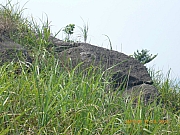 pic_Wai_093.jpg (382017 bytes)