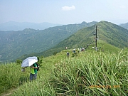 pic_Wai_097.jpg (327436 bytes)