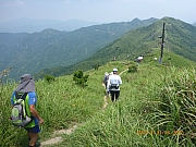 pic_Wai_111.jpg (379946 bytes)