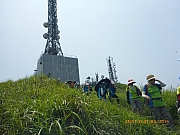 pic_Wai_113.jpg (230441 bytes)