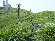 pic_Wai_115.jpg (414586 bytes)