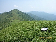 pic_Wai_132.jpg (355621 bytes)