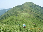 pic_Wai_140.jpg (382890 bytes)