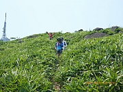 pic_Wai_141.jpg (384485 bytes)