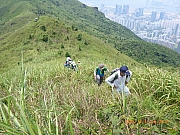 pic_Wai_145.jpg (526846 bytes)