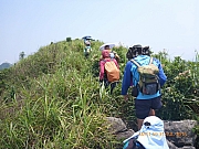pic_Wai_153.jpg (398954 bytes)