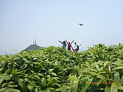 pic_Wai_157.jpg (242401 bytes)