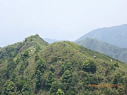 pic_Wai_160.jpg (249940 bytes)