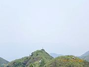 pic_Wai_161.jpg (92841 bytes)
