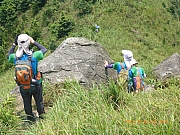 pic_Wai_162.jpg (531362 bytes)