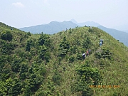 pic_Wai_164.jpg (363404 bytes)