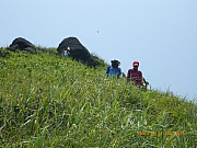 pic_Wai_165.jpg (344614 bytes)