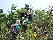 pic_Wai_166.jpg (500008 bytes)