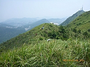 pic_Wai_170.jpg (359017 bytes)