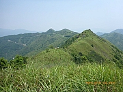 pic_Wai_171.jpg (319579 bytes)