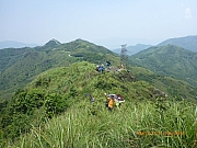 pic_Wai_175.jpg (369030 bytes)