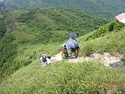 pic_Wai_177.jpg (515526 bytes)